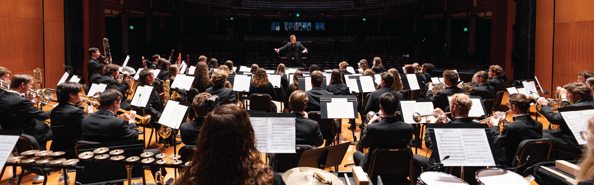 image of a concert band from the back looking out into the audience of a stage