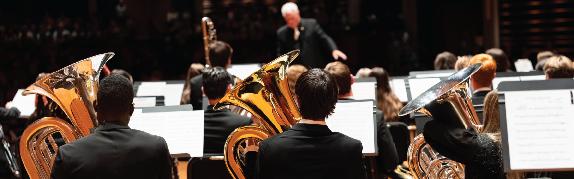 Three tuba players in concert